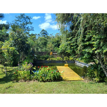 Imagem Imóvel com 2 Quartos à Venda, 2.175 m² em área Rural De Camboriú - Camboriú Imagem Imóvel com 2 Quartos à Venda, 2.175 m² em área Rural De Camboriú - Camboriú