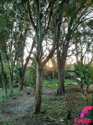 Imagem Terreno à Venda, 1.680 m² em Rio Tavares - Florianópolis Imagem Terreno à Venda, 1.680 m² em Rio Tavares - Florianópolis