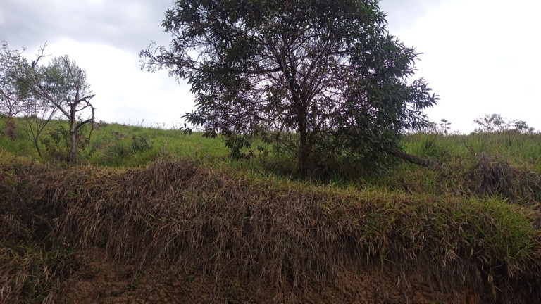Imagem Chácara à Venda, 20.185 m² em água Soca - São José Dos Campos Imagem Chácara à Venda, 20.185 m² em água Soca - São José Dos Campos