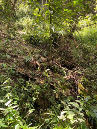 Imagem Terreno à Venda, 3 m² em Santa Terezinha De Minas - Itatiaiuçu