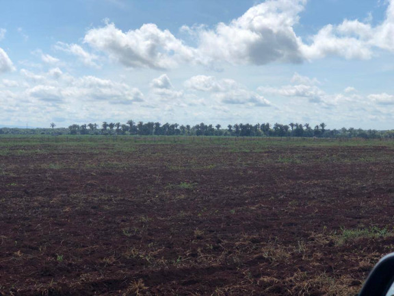 Imagem Fazenda à Venda, 15.000 m² em Mato Grosso Imagem Fazenda à Venda, 15.000 m² em Mato Grosso