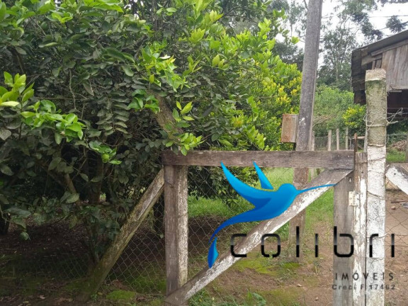 Imagem Chácara com 3 Quartos à Venda, 1.210 m² em Taboão - Agudos Do Sul