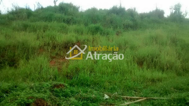 Imagem Terreno à Venda, 2.500 m² em Vila São Francisco - Suzano Imagem Terreno à Venda, 2.500 m² em Vila São Francisco - Suzano