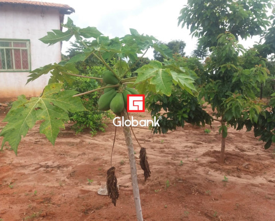 Imagem Imóvel com 1 Quarto à Venda, 35 m² em Cabeceiras - Montes Claros Imagem Imóvel com 1 Quarto à Venda, 35 m² em Cabeceiras - Montes Claros