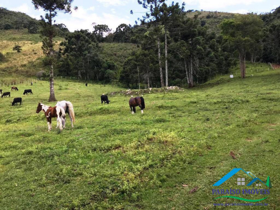 Imagem Chácara com 1 Quarto à Venda, 39 m² em Centro - Gonçalves