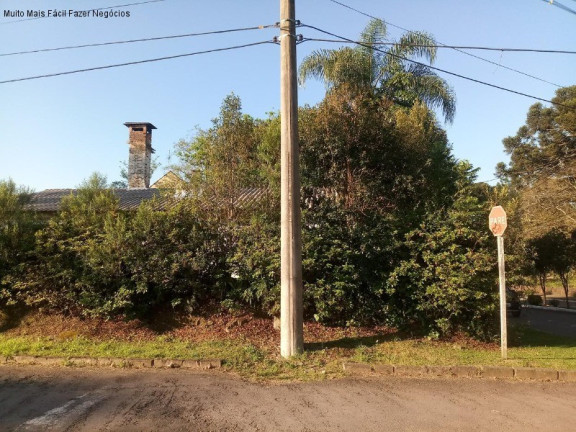 Imagem Terreno à Venda, 1.452 m² em Logradouro - Nova Petrópolis Imagem Terreno à Venda, 1.452 m² em Logradouro - Nova Petrópolis