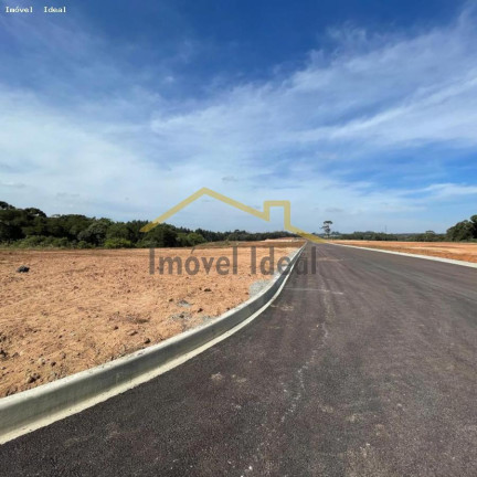 Imagem Terreno à Venda, 230 m² em Costeira - Araucária
