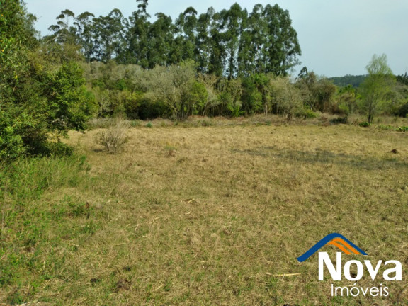 Imagem Imóvel à Venda, 12.086 m² em Vila Rica - Presidente Lucena Imagem Imóvel à Venda, 12.086 m² em Vila Rica - Presidente Lucena