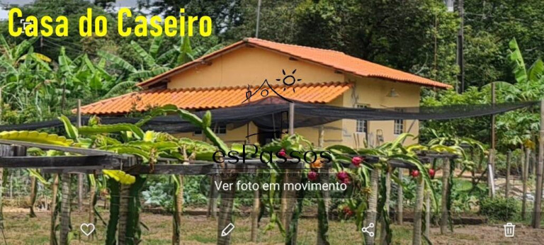 Imagem Fazenda à Venda, 110.000 m² em Cachoeira De Almas - Florestal Imagem Fazenda à Venda, 110.000 m² em Cachoeira De Almas - Florestal