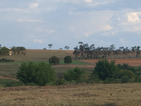 Imagem Fazenda à Venda, 726 m² em Vila Tazitsu - Presidente Prudente Imagem Fazenda à Venda, 726 m² em Vila Tazitsu - Presidente Prudente