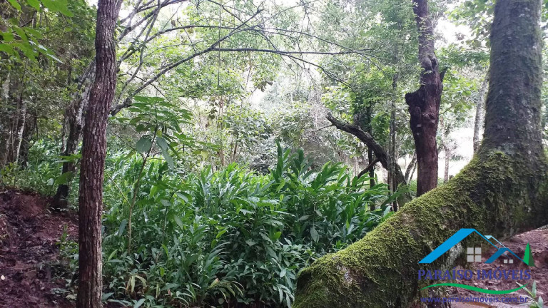 Imagem Chácara à Venda, 7 m² em Centro - Paraisópolis Imagem Chácara à Venda, 7 m² em Centro - Paraisópolis