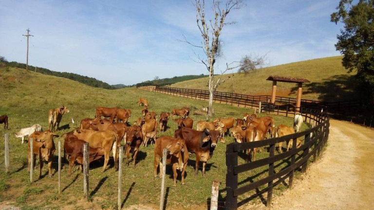 Imagem Fazenda à Venda, 3 m² em Zona Rural - Registro Imagem Fazenda à Venda, 3 m² em Zona Rural - Registro