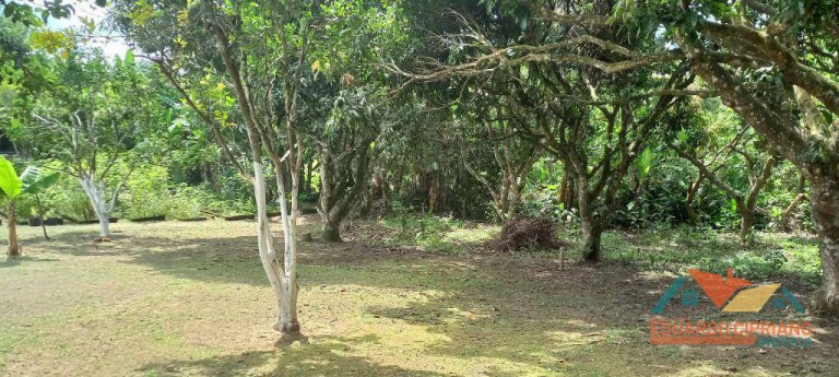 Imagem Chácara com 4 Quartos à Venda, 500 m² em Zona Rural - Paraibuna