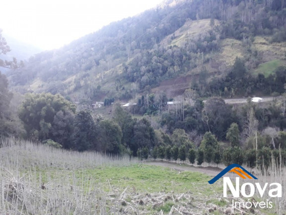 Imagem Imóvel à Venda, 60.000 m² em Linha Riachuelo - Nova Petrópolis
