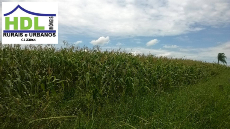 Imagem Fazenda à Venda, 38 m² em Zona Rural - Piracanjuba Imagem Fazenda à Venda, 38 m² em Zona Rural - Piracanjuba