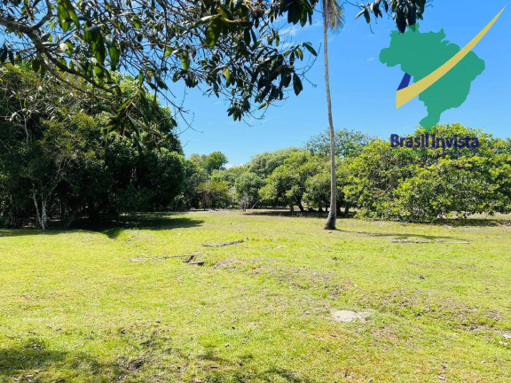 Imagem Terreno à Venda, em Guaiù - Santa Cruz Cabrália Imagem Terreno à Venda, em Guaiù - Santa Cruz Cabrália