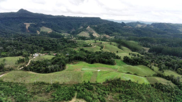 Imagem Imóvel com 6 Quartos à Venda, 250.000 m² em Zona Rural - Apiúna