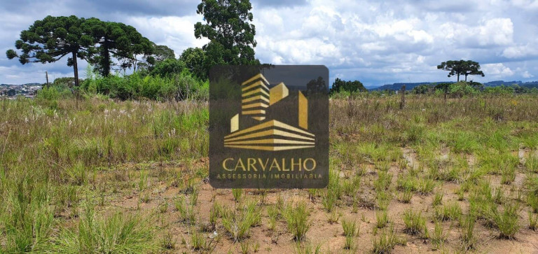 Imagem Terreno à Venda, 21.642 m² em Bela Vista Alegre - Rio Negrinho Imagem Terreno à Venda, 21.642 m² em Bela Vista Alegre - Rio Negrinho