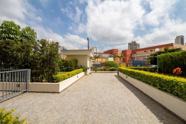Imagem Apartamento com 2 Quartos à Venda, 54 m² em Vila Santa Catarina - São Paulo Imagem Apartamento com 2 Quartos à Venda, 54 m² em Vila Santa Catarina - São Paulo