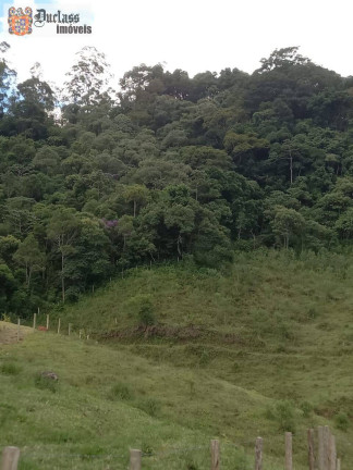 Imagem Chácara com 3 Quartos à Venda, 41.000 m² em Bairro Do Azevedo - Joanópolis Imagem Chácara com 3 Quartos à Venda, 41.000 m² em Bairro Do Azevedo - Joanópolis