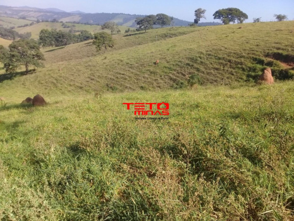 Imagem Imóvel com 2 Quartos à Venda, 146 m² em Zona Rural Carmo De Minas - Carmo De Minas Imagem Imóvel com 2 Quartos à Venda, 146 m² em Zona Rural Carmo De Minas - Carmo De Minas