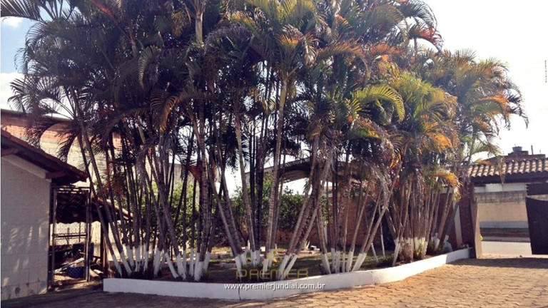 Imagem Fazenda à Venda, 451 m² em Maracanã - Jarinu Imagem Fazenda à Venda, 451 m² em Maracanã - Jarinu