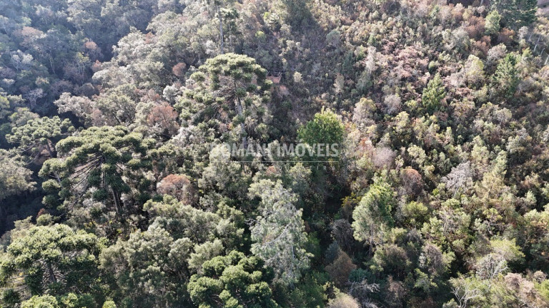 Imagem Imóvel à Venda, em Região Do Atalaia - Campos Do Jordão Imagem Imóvel à Venda, em Região Do Atalaia - Campos Do Jordão