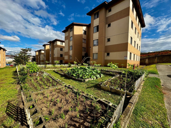 Imagem Apartamento com 1 Quarto à Venda, 41 m² em Colônia Rio Grande - São José Dos Pinhais