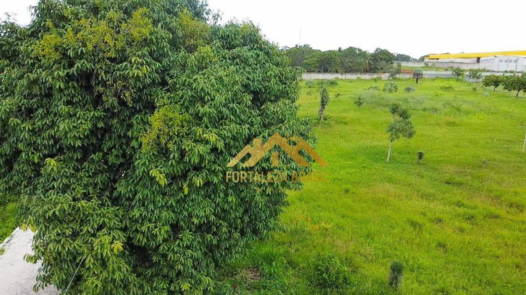 Imagem Imóvel à Venda, 300 m² em Centro - Eusébio Imagem Imóvel à Venda, 300 m² em Centro - Eusébio