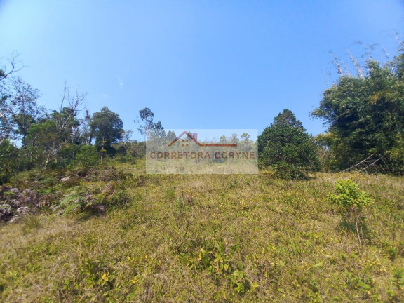 Imagem Terreno à Venda, 24.000 m² em Palmeiras - Juquitiba Imagem Terreno à Venda, 24.000 m² em Palmeiras - Juquitiba