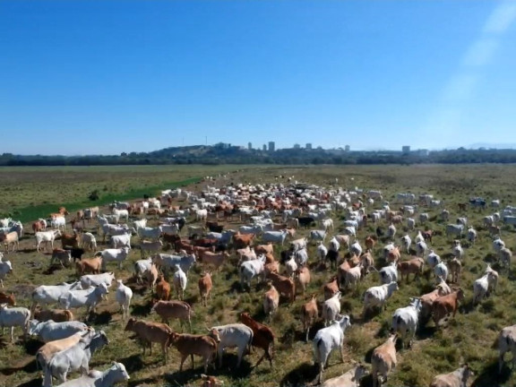Imagem Fazenda à Venda, 4.460.000 m² em Bairros Da Pernambucana - São José Dos Campos