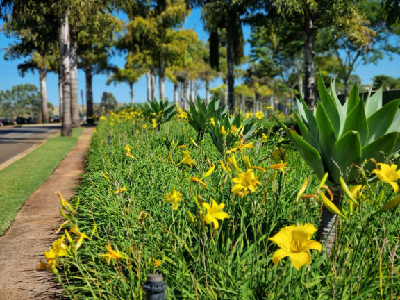 Imagem Terreno à Venda, 750 m² em Condomínio Terras Alpha Anápolis - Anápolis