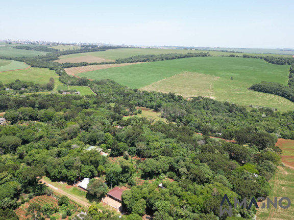 Imagem Chácara com 3 Quartos à Venda, 5.000 m² em Coqueiral - Cascavel Imagem Chácara com 3 Quartos à Venda, 5.000 m² em Coqueiral - Cascavel
