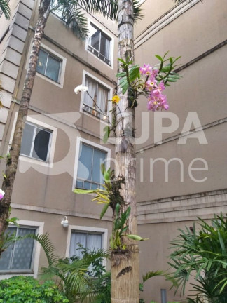 Imagem Apartamento com 2 Quartos à Venda, 40 m² em água Chata - Guarulhos Imagem Apartamento com 2 Quartos à Venda, 40 m² em água Chata - Guarulhos
