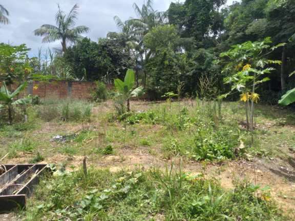 Imagem Terreno à Venda, 220 m² em Alto São Bento - Itapema