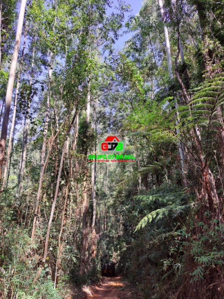 Imagem Chácara à Venda, 123 m² em Centro - Atibaia Imagem Chácara à Venda, 123 m² em Centro - Atibaia