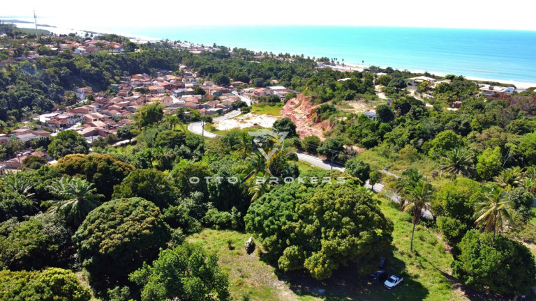 Imagem Terreno à Venda, 65.057 m² em Santa Cruz Cabrália - Santa Cruz Cabrália Imagem Terreno à Venda, 65.057 m² em Santa Cruz Cabrália - Santa Cruz Cabrália