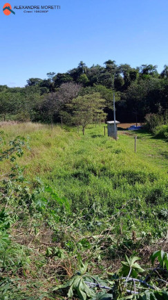 Imagem Chácara à Venda, 1.300 m² em Cercado - Araçoiaba Da Serra Imagem Chácara à Venda, 1.300 m² em Cercado - Araçoiaba Da Serra