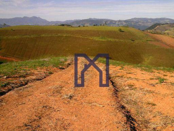 Fazenda à Venda, 145.000 m² em Zona Rural - Maria Da Fé