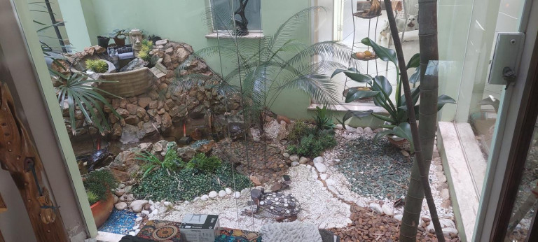 Imagem Casa com 3 Quartos à Venda, 442 m² em Vila Floresta - Santo André