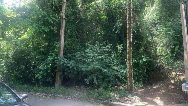 Imagem Terreno à Venda, 1.000 m² em Siriuba - Ilhabela Imagem Terreno à Venda, 1.000 m² em Siriuba - Ilhabela