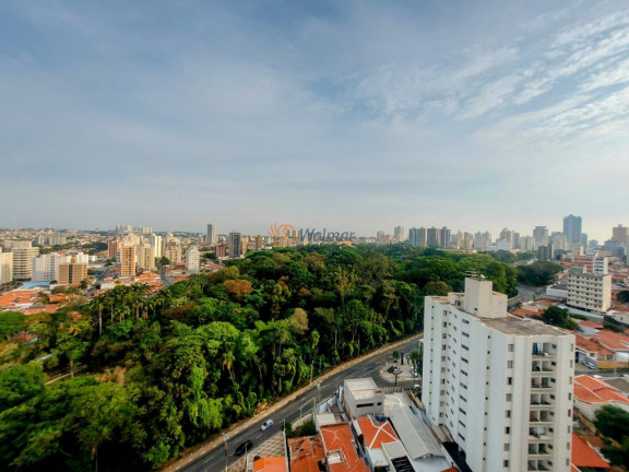 Imagem Imóvel com 3 Quartos para Alugar, 116 m² em Centro - Campinas Imagem Imóvel com 3 Quartos para Alugar, 116 m² em Centro - Campinas