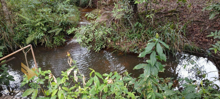 Imagem Chácara à Venda, 300 m² em Mata Do Segredo - Campo Grande Imagem Chácara à Venda, 300 m² em Mata Do Segredo - Campo Grande