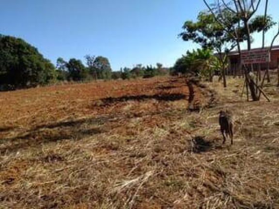 Imagem Terreno à Venda, 5.000 m² em Vila São José (brazlândia) - Brasília