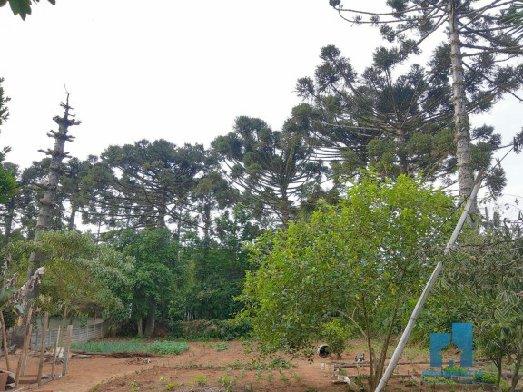 Imagem Imóvel com 2 Quartos à Venda, 100 m² em Guaragi - Ponta Grossa