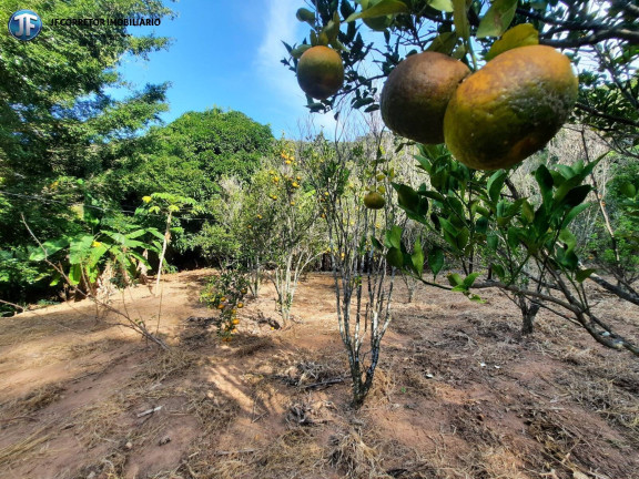 Imagem Chácara com 6 Quartos à Venda, 680.000 m² em Iapu Imagem Chácara com 6 Quartos à Venda, 680.000 m² em Iapu