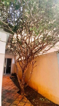 Imagem Apartamento com 3 Quartos à Venda, 158 m² em Santo Antônio - Belo Horizonte Imagem Apartamento com 3 Quartos à Venda, 158 m² em Santo Antônio - Belo Horizonte