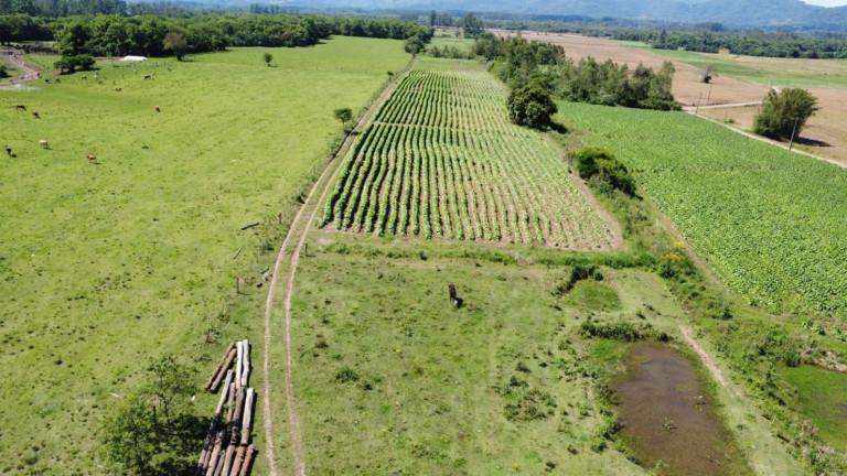 Imagem Chácara com 2 Quartos à Venda, 68.000 m² em Zona Rural - Vale Do Sol Imagem Chácara com 2 Quartos à Venda, 68.000 m² em Zona Rural - Vale Do Sol