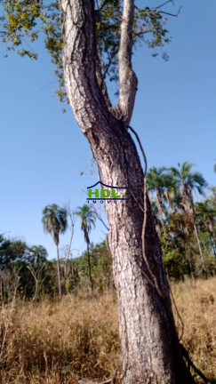 Imagem Fazenda à Venda, em Zona Rural - Coxim Imagem Fazenda à Venda, em Zona Rural - Coxim
