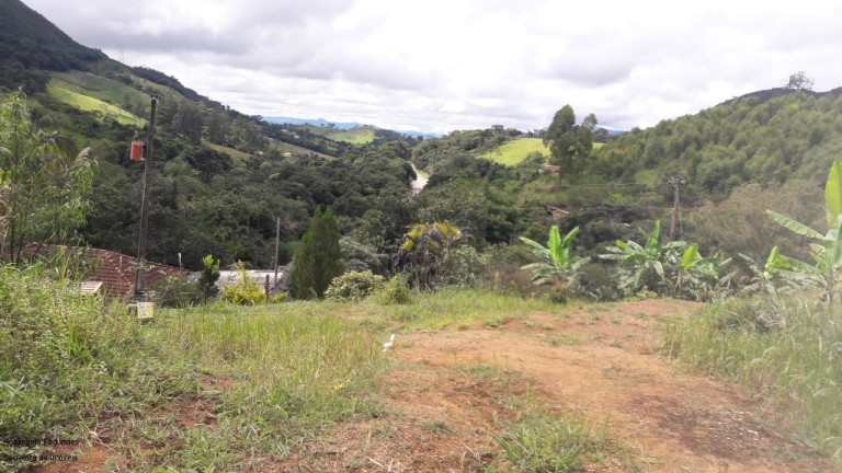 Imagem Imóvel com 3 Quartos à Venda, 140 m² em Laranjeiras De Caldas - Caldas